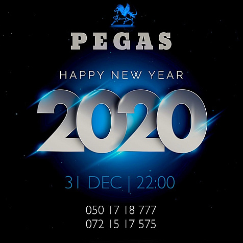 Новый год в ресторане Пегас 