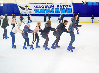 Ледовый каток Пингвин