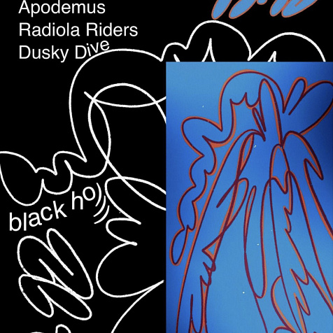 Суббота в Black Ho)))