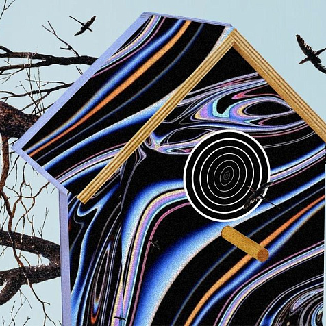 Birds are coming | Sergey Pushkin (Betelgeize)