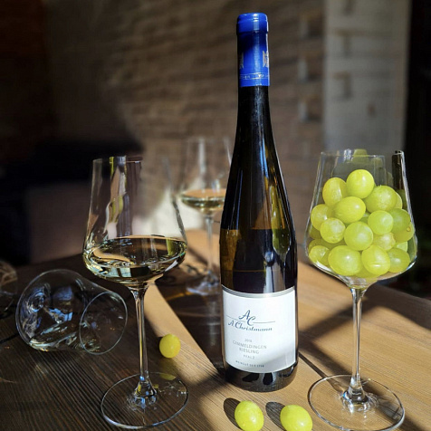 Вечер Wine Stories