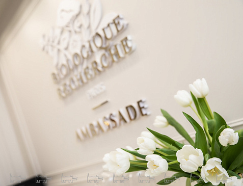 Посольство красоты BR