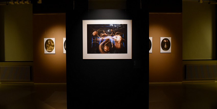 Николетта Чекколи: мои работы обращены не столько к детям, сколько к взрослым