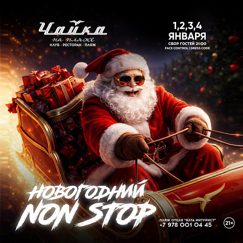 Новогодний NON-STOP в ЧАЙКЕ на пляже