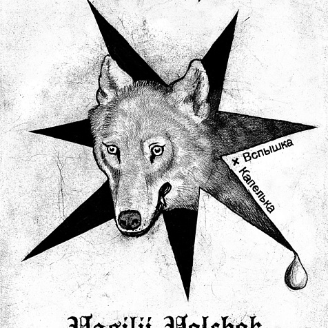 К нам едет «Волчок»! 