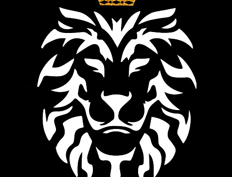 FUSION BAR (г. Сургут)