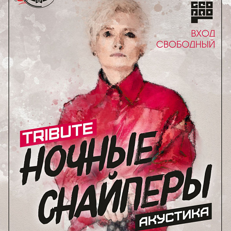 TRIBUTE группы НОЧНЫЕ СНАЙПЕРЫ